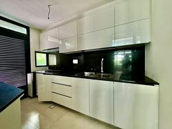 Belgravia Ace (D28), Terrace #566525241